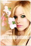 Poze - roxy - •�•Avril Lavigne•�•